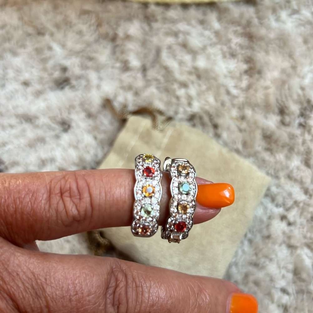 GORGEOUS!  French Clip